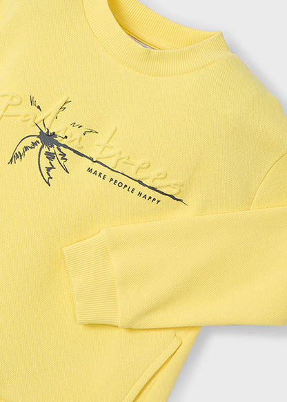 Pullover