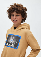 Load image into Gallery viewer, Hoodie
