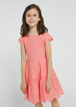 Load image into Gallery viewer, Embroidered dress
