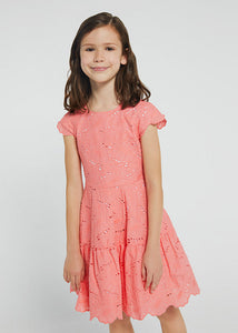Embroidered dress