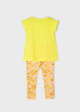 Load image into Gallery viewer, Leggings set
