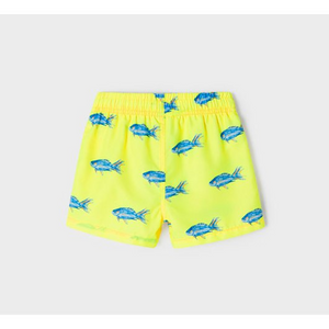 Fish swim shorts